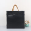 Glossy Loop Bag (30*20cm) (100pcs/pack)