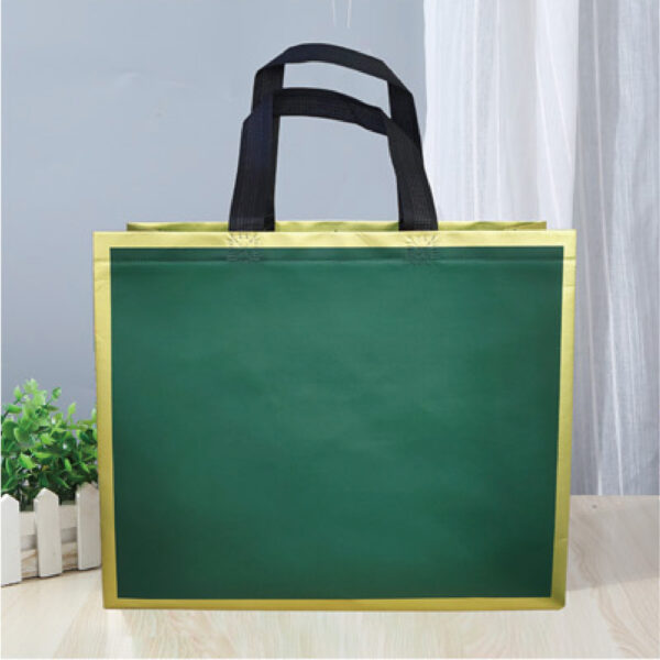 Green Souvenir Bag (40*30cm) (12pcs/pack)