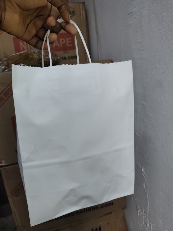 White Craft Paper Bag with Handle (21*11) 25pcs