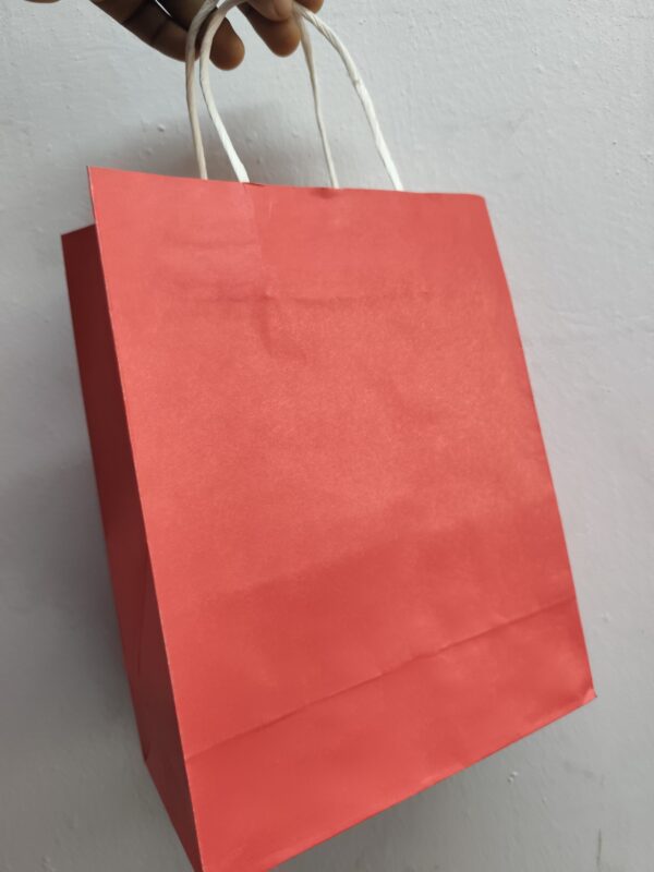 Red Craft Paper Bag with Handle (21*11) 25pcs