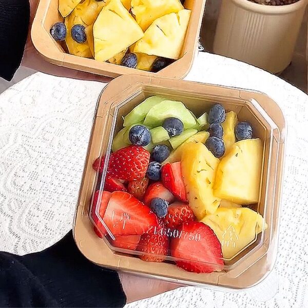 1000ML Octagonal Rectangular Kraft Box with clear Cover (10pcs/pack)