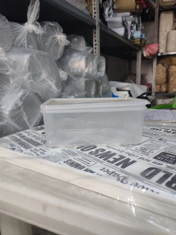 1.5L Transparent Berry Bucket (10pcs)